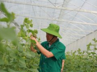 Thanh Hóa: 8 tháng đầu năm 2020, thành lập 1.658 doanh nghiệp mới