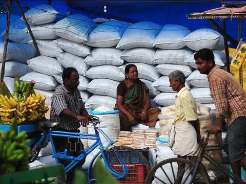Giá gạo Ấn Độ giảm có tác động gì đến giá gạo xuất khẩu của Việt Nam?