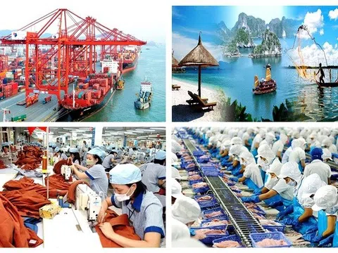 Thu ngân sách Nhà nước 5 tháng đầu năm đạt 52,8% dự toán