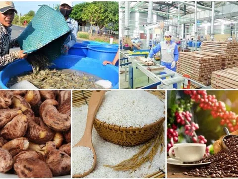 Anh cam kết xóa bỏ 94,4% số dòng thuế cho Việt Nam khi Hiệp định CPTPP có hiệu lực