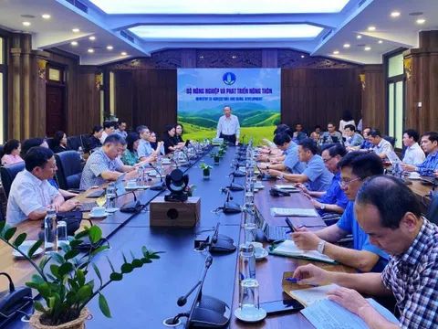 Nửa năm, ngành nông lâm thủy sản thu về đạt 29,2 tỷ USD