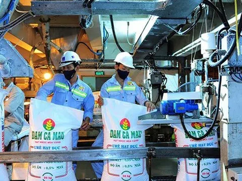 Doanh nghiệp hóa chất - phân bón lãi đậm