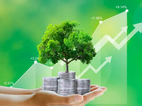 Nhà nước sẽ hỗ trợ lãi suất 2%/năm cho dự án xanh