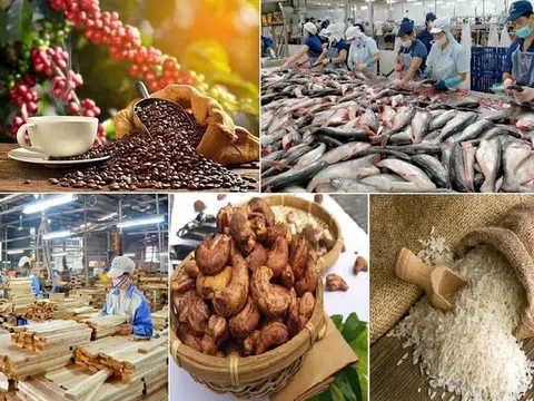 Tăng tốc để xuất khẩu nông lâm thuỷ sản cán đích 65 tỷ USD