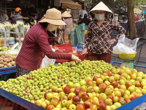 Hà Nội: Cẩn trọng với các loại Đào, Mận được quảng có nguồn gốc từ Sa Pa, Mộc Châu