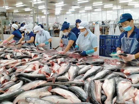 Xuất khẩu thủy sản năm 2025 có thể đạt từ 9 đến 9,2 tỷ USD