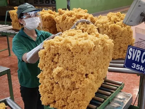Xuất khẩu cao su giảm về lượng, nhưng tăng về trị giá
