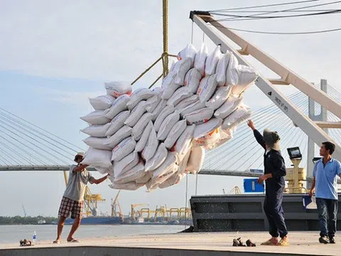 Kim ngạch xuất khẩu gạo của Việt Nam vượt mốc 3 tỷ USD