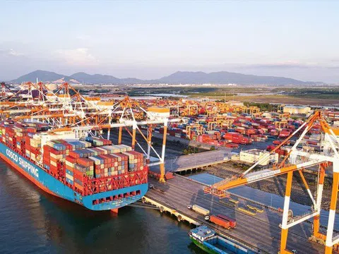 3 cảng biển Việt Nam lọt Top 100 cảng lưu thông nhiều hàng hóa nhất thế giới