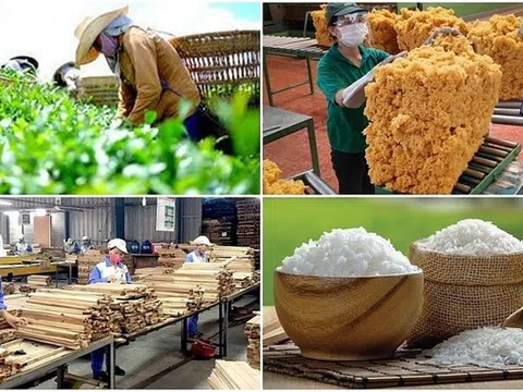 8 tháng, xuất khẩu nông lâm thủy, hải sản đạt 45,37 tỷ USD