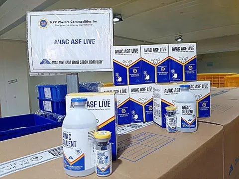 Việt Nam xuất khẩu 340.000 liều vaccine dịch tả lợn châu Phi sang Philippines