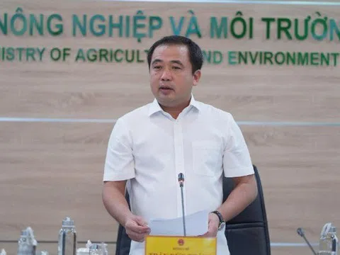 Thị trường gạo Việt Nam không chịu tác động lớn nhờ dự trữ và thị trường mới