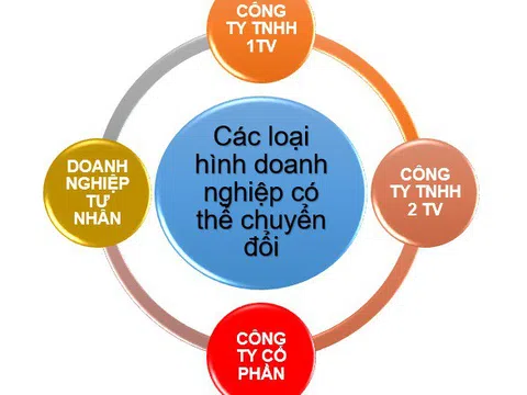 Thủ tục chuyển đổi công ty TNHH hai thành viên trở lên thành công ty TNHH Một thành viên