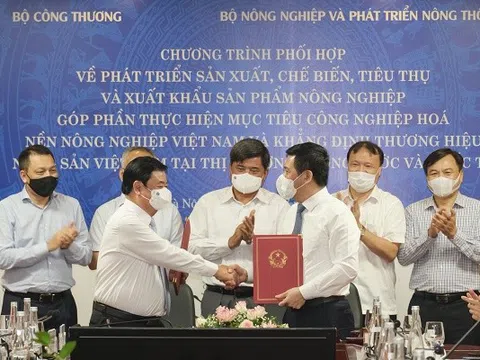 Phối hợp phát triển sản xuất, chế biến, tiêu thụ và xuất khẩu nông sản