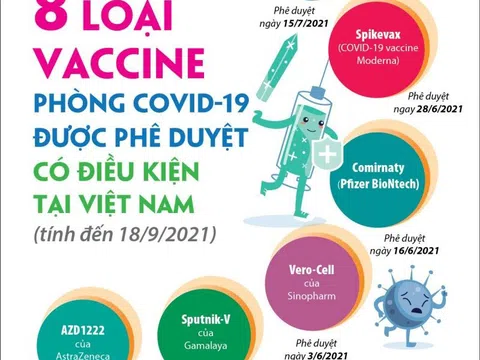 8 loại vắc-xin Covid-19 đã được cấp phép tại Việt Nam