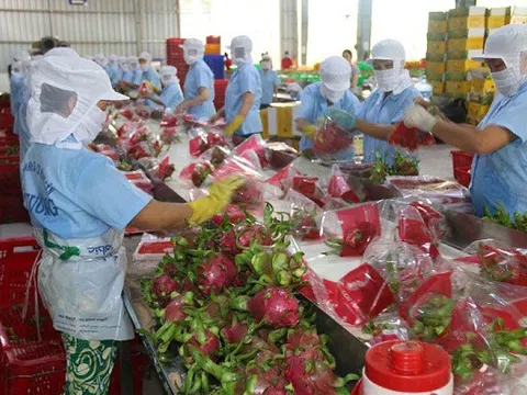 Bộ Công Thương hoàn tất đăng ký doanh nghiệp sản xuất thực phẩm xuất khẩu đi Trung Quốc