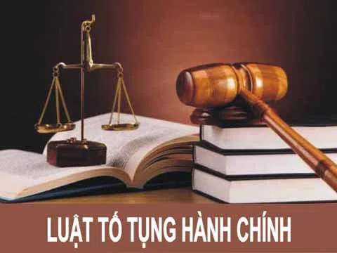 Xử lý trách nhiệm địa phương, cơ quan, cá nhân chậm thi hành án hành chính