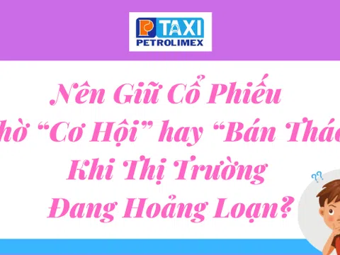 Nên giữ cổ phiếu chờ “cơ hội” hay “bán tháo” khi thị trường đang hoảng loạn?