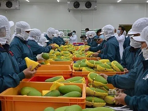 SPS Việt Nam đề nghị gỡ khó cho doanh nghiệp xuất khẩu nông sản sang Trung Quốc