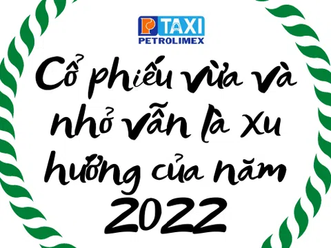 Cổ phiếu vừa và nhỏ vẫn là xu hướng của thị trường chứng khoán Việt Nam năm 2022