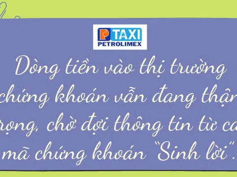 Dòng tiền vào thị trường chứng khoán vẫn đang thận trọng, chờ đợi thông tin từ các mã chứng khoán “sinh lời”