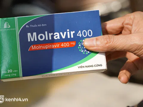 Bộ Y tế khuyến cáo trường hợp không được sử dụng thuốc Molnupiravir