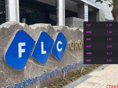 Cổ phiếu họ FLC đồng loạt tăng trần sau phiên giao dịch bị Tập đoàn này đánh giá là "bất thường"