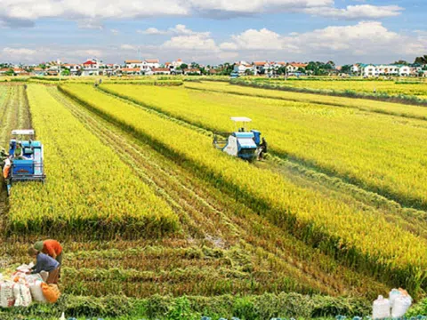 Việt Nam đăng cai Hội nghị toàn cầu Hệ thống lương thực thực phẩm lần thứ 4