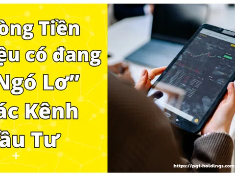 Dòng tiền liệu có đang “Ngó Lơ” các kênh đầu tư