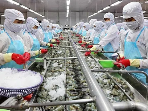 Xuất khẩu tôm Việt Nam sang Hàn Quốc giảm 29%