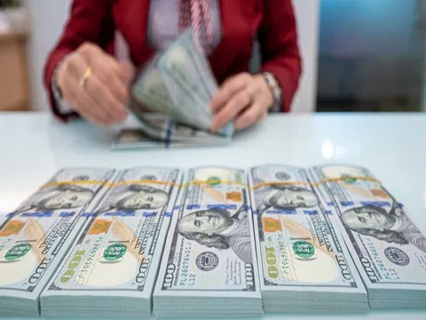 Tỷ giá USD hôm nay (23/8): Tỷ giá trung tâm tăng 12 đồng