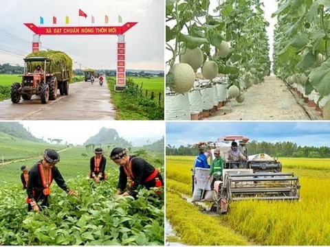 Phát triển kinh tế nông thôn gắn với mục tiêu nông nghiệp sinh thái