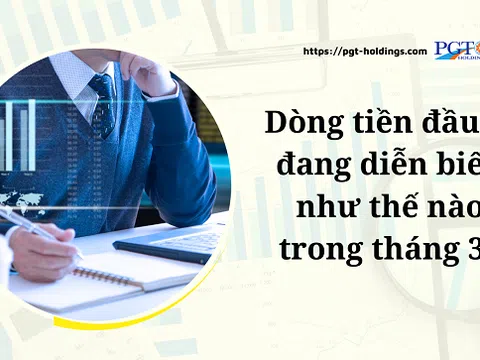 Dòng tiền đầu tư đang diễn biến như thế nào trong tháng 3?