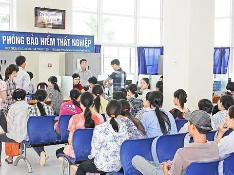 Luật Việc làm 2025 mở rộng đối tượng tham gia bảo hiểm thất nghiệp