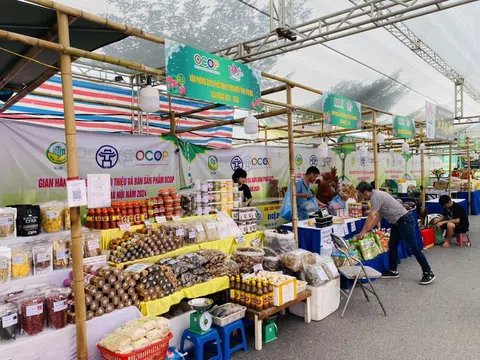 Hà Nội điểm sáng trong xây dựng mạng lưới sản xuất - tiêu dùng bền vững