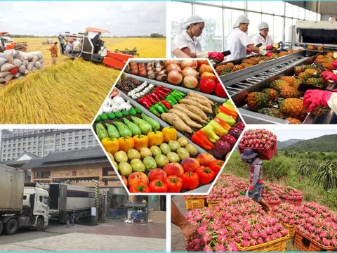 Tháo gỡ vướng chính sách thuế GTGT với nông sản và thức ăn chăn nuôi