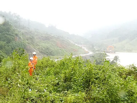 Họp khẩn ứng phó bão số 13: EVNCPC giữ vững an toàn, kỷ luật trong mưa lũ