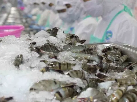 Thuế đối ứng khiến xuất khẩu thủy sản Việt Nam chững lại