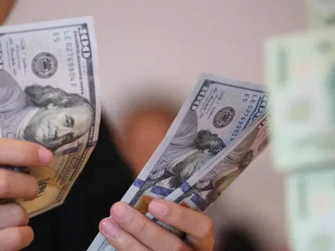 Tỷ giá USD hôm nay 13/11: Tỷ giá trung tâm giảm 4 đồng