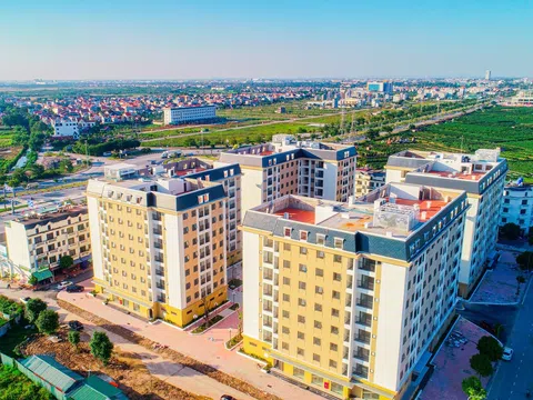 Đồng bộ hóa cơ sở dữ liệu trong quản lý nhà ở xã hội