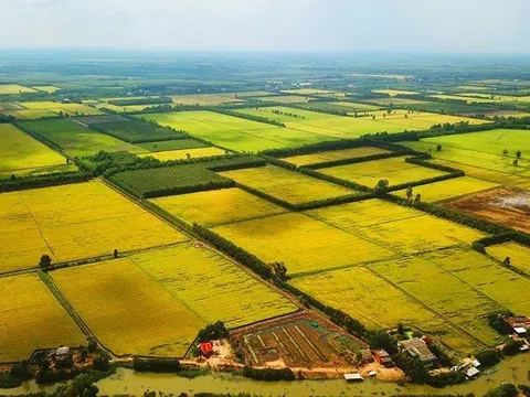 Đề xuất mức giá đất nông nghiệp bằng 40% đất ở cùng thửa đất