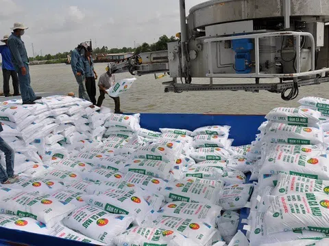 Xuất khẩu phân bón sang hầu hết các thị trường đều tăng