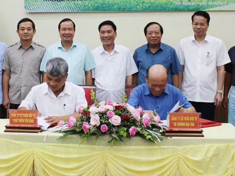 Thái Nguyên: Đầu tư triển khai Dự án sân golf Yên Bình-TNG