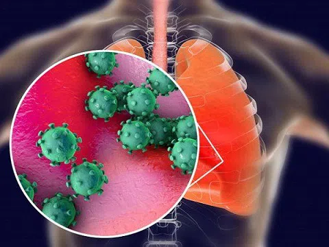 Thêm phát hiện mới nhất về chủng virus corona ở Vũ Hán