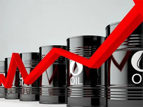 Giá xăng dầu hôm nay 11/8: Dầu tăng trở lại do nhu cầu năng lượng tăng