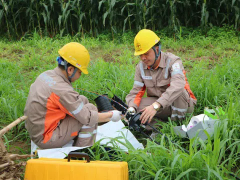 Công ty Điện lực Phú Thọ: Tăng cường phối hợp thực hiện chỉnh trang, bó gọn cáp quang