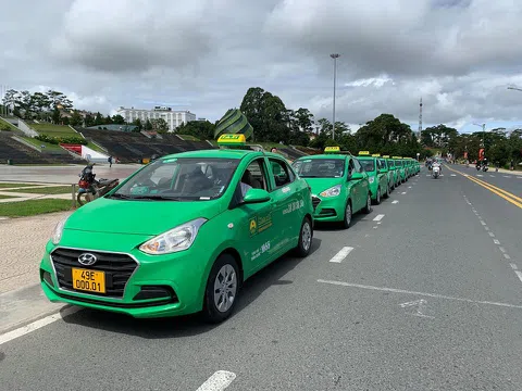 Khuyến cáo tình trạng giả mạo taxi Mai Linh