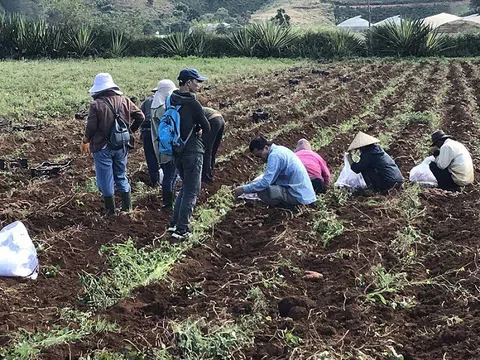 Lâm Đồng: Hợp tác xã xin đối ứng vốn để bê tông hoá giao thông nội đồng