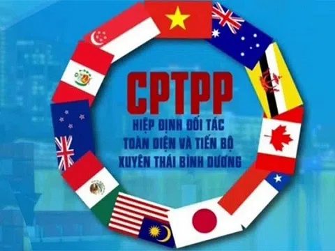 Hướng dẫn thực hiện đấu thầu mua sắm theo Hiệp định CPTPP