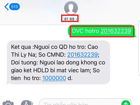 Đà Nẵng: Dễ dàng tra cứu thông tin hỗ trợ người dân gặp khó khăn do dịch Covid-19